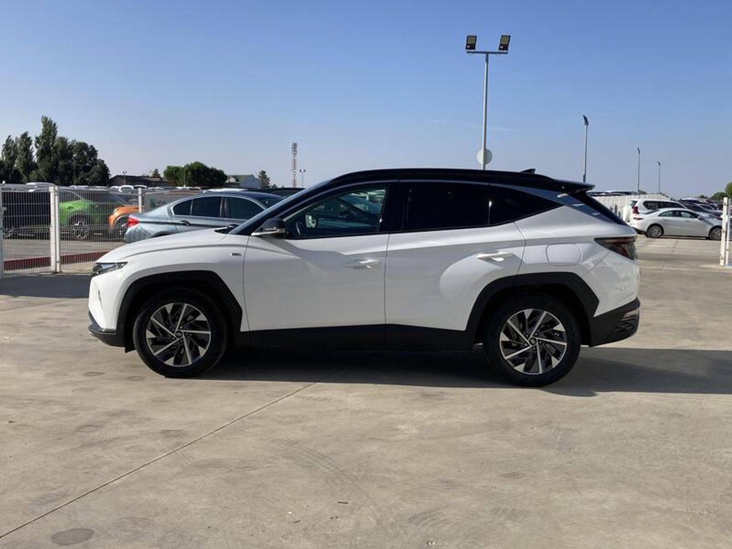 Hyundai Tucson 1.6 CRDI 48V Tecno 4X2 DCT 100 kW (136 CV) Blanco SUV