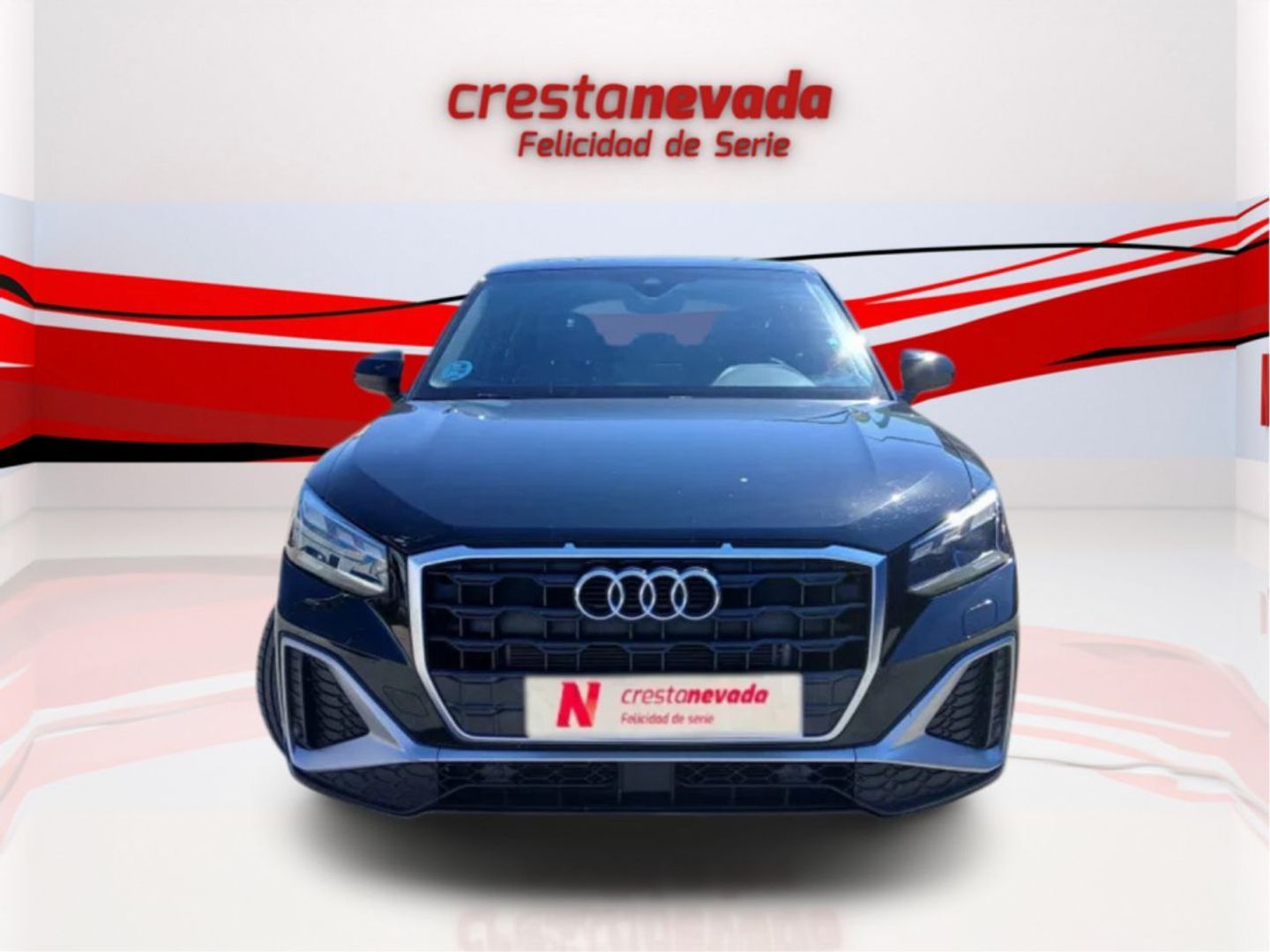 Audi Q2 Adrenalin 30 TDI 85 kW (116 CV) S tronic Negro SUV