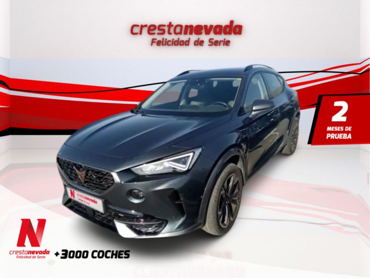 CUPRA Formentor 2.0 TDI 110 kW (150 CV) Gris All Terrain / Pick-up