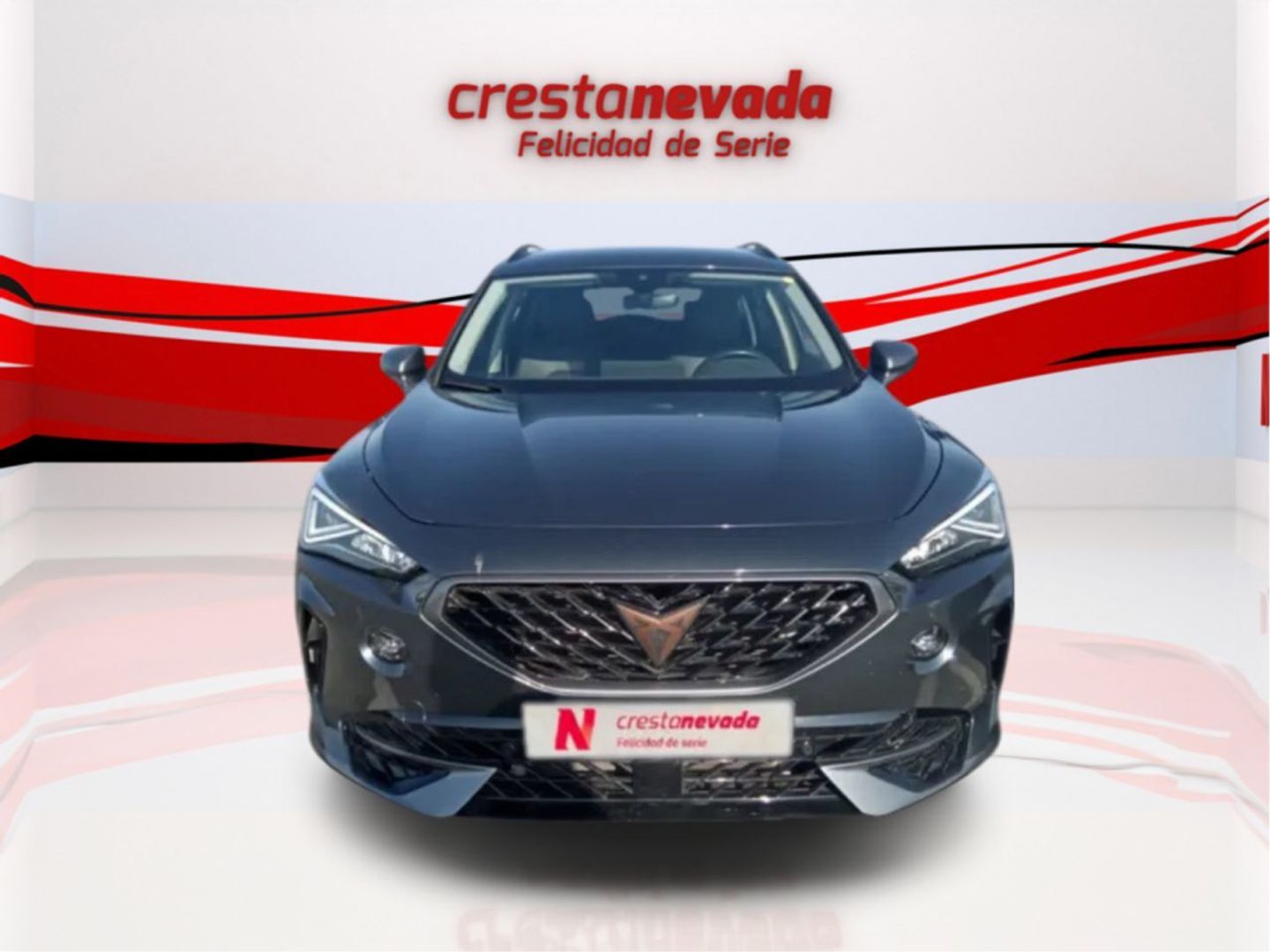 CUPRA Formentor 2.0 TDI 110 kW (150 CV) Gris All Terrain / Pick-up