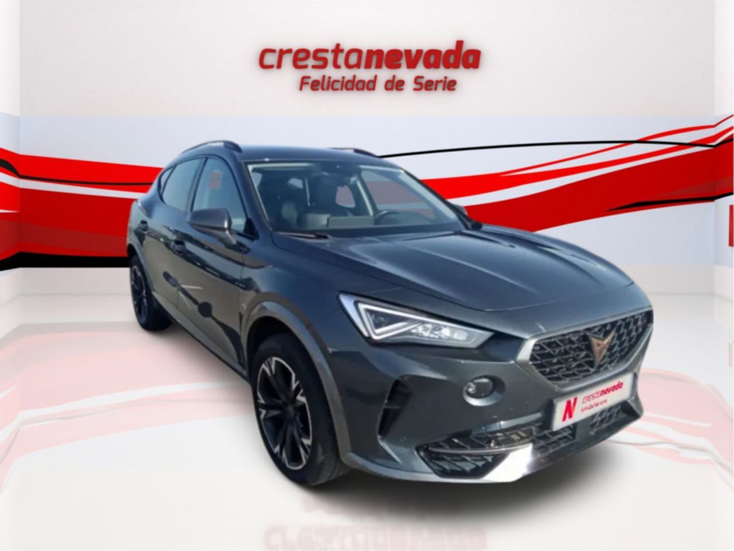 CUPRA Formentor 2.0 TDI 110 kW (150 CV) Gris All Terrain / Pick-up