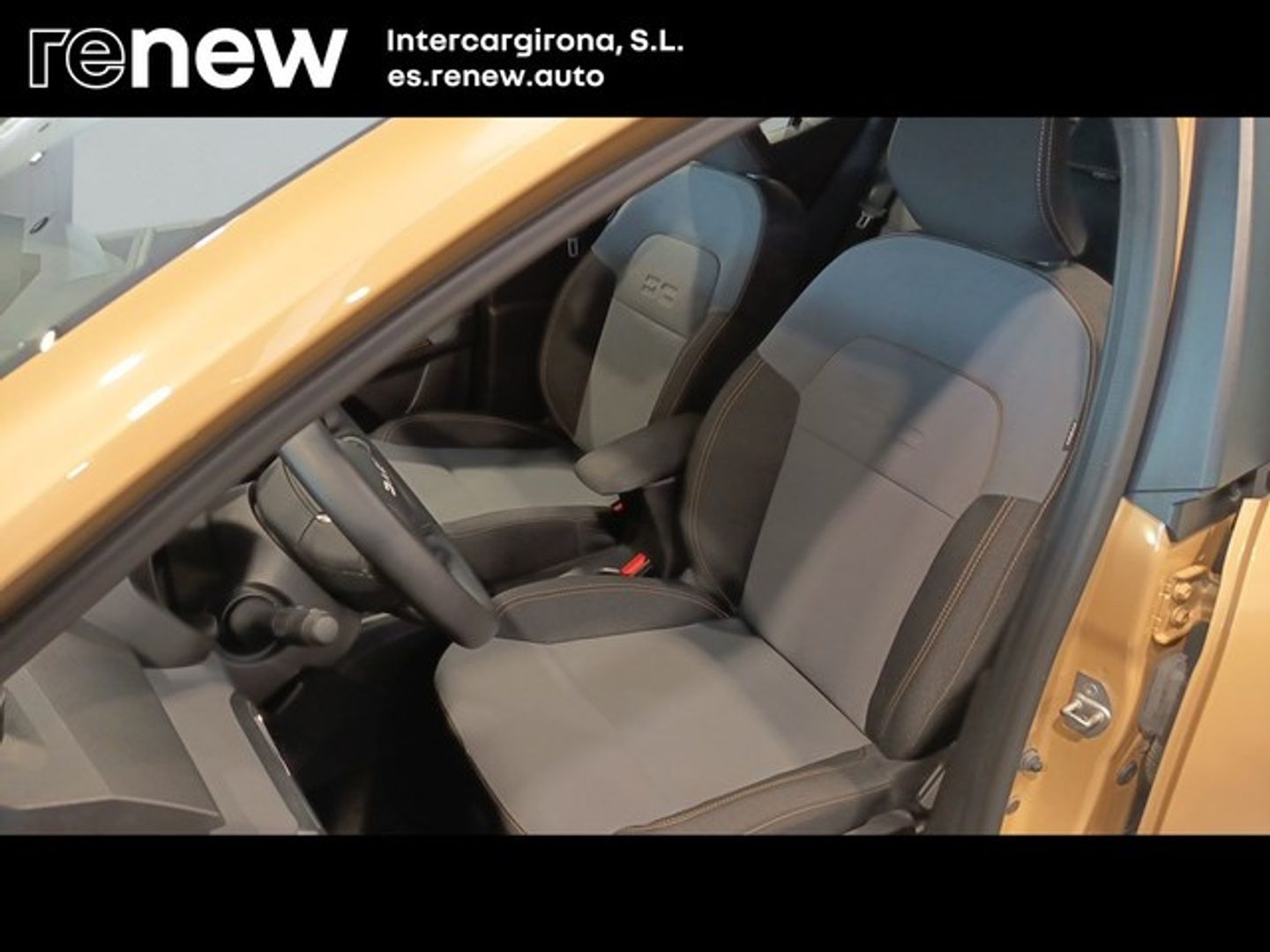 Dacia Sandero Stepway Expression Go TCe 81 kW (110 CV) Beige Sedan