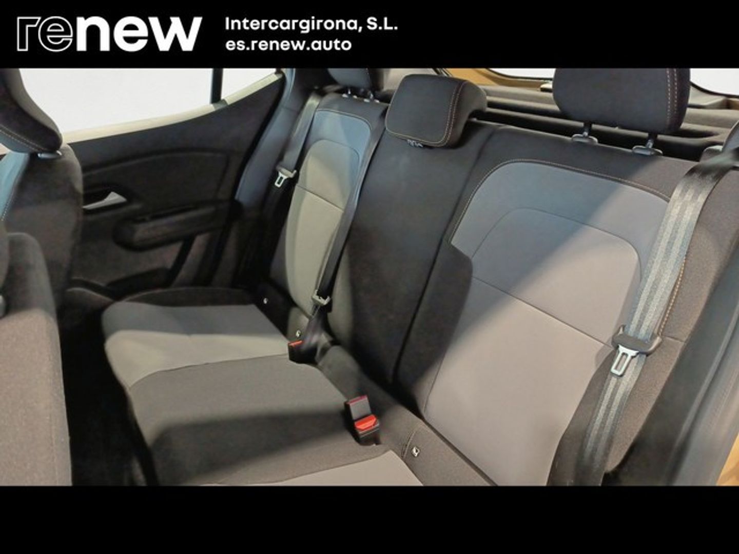 Dacia Sandero Stepway Expression Go TCe 81 kW (110 CV) Beige Sedan