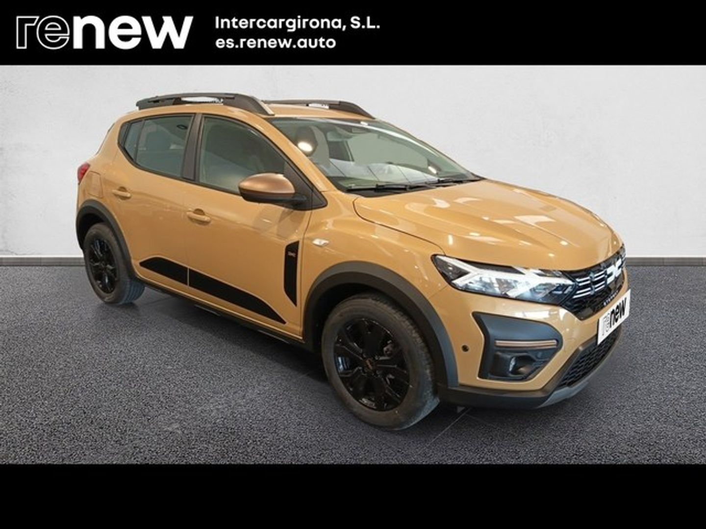 Dacia Sandero Stepway Expression Go TCe 81 kW (110 CV) Beige Sedan