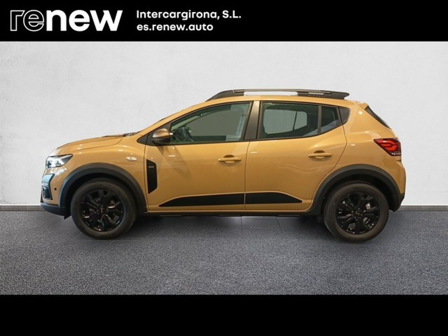Dacia Sandero Stepway Expression Go TCe 81 kW (110 CV) Beige Sedan