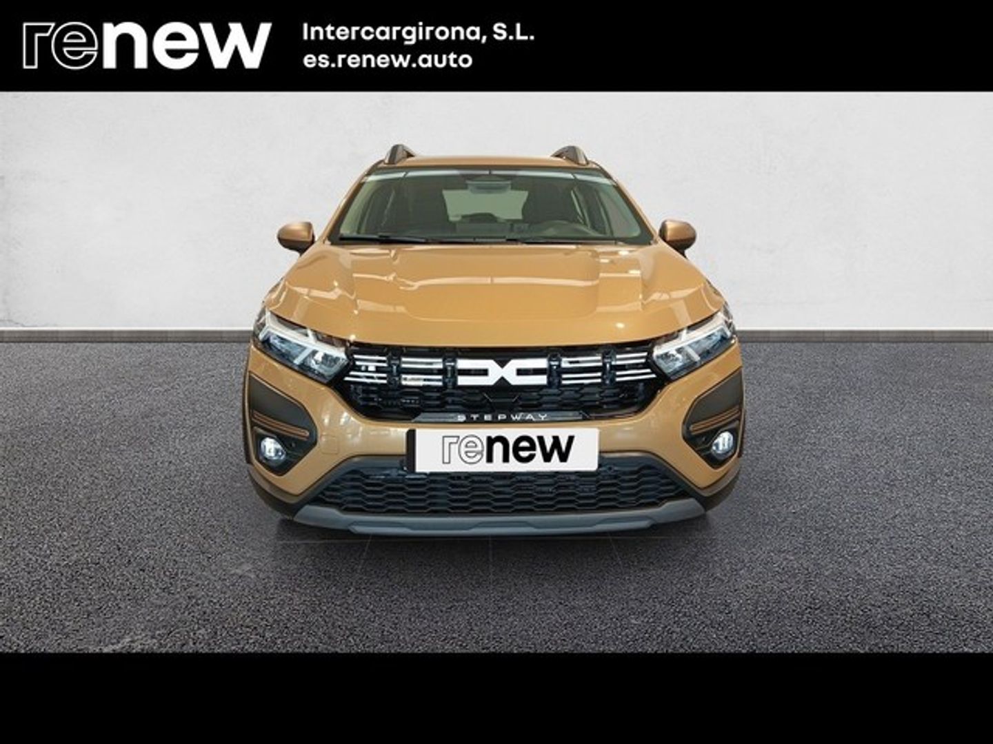 Dacia Sandero Stepway Expression Go TCe 81 kW (110 CV) Beige Sedan