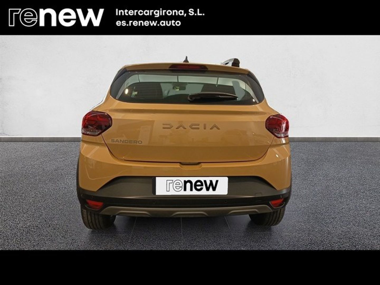 Dacia Sandero Stepway Expression Go TCe 81 kW (110 CV) Beige Sedan