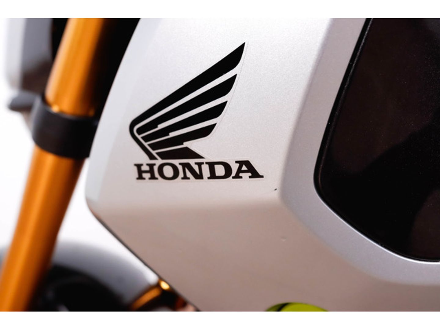 Honda MSX125 Gris Plata Motorcycle
