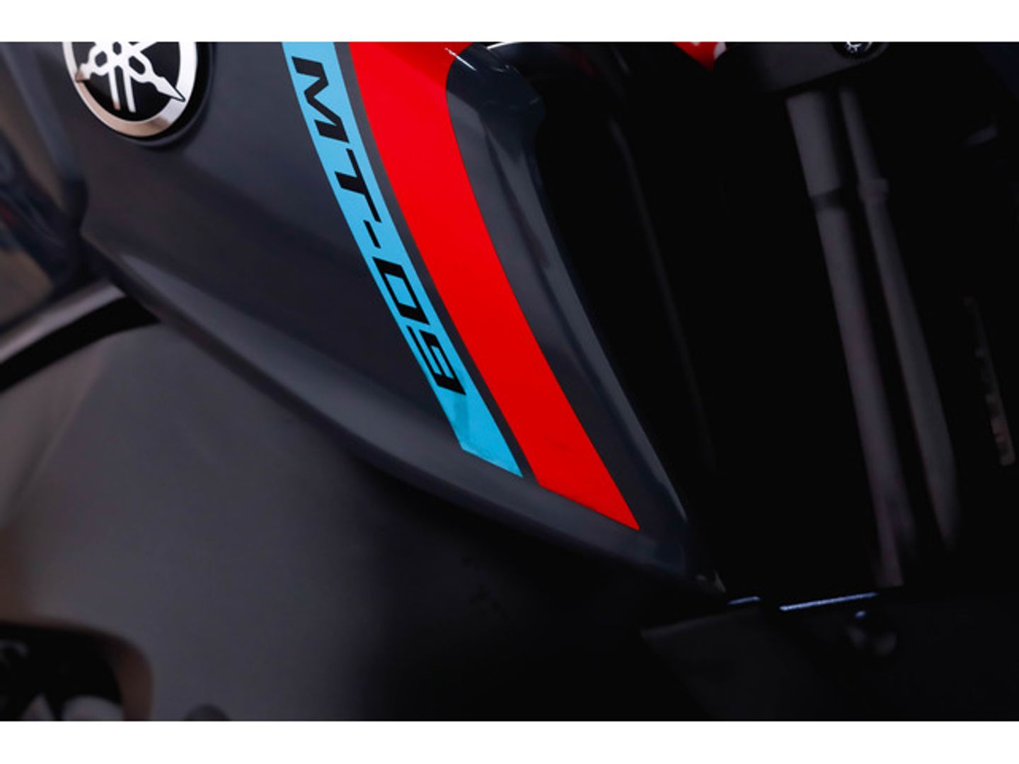 Yamaha MT -09 Gris Motorcycle